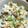 マッツ23's cooksnap of when they made 鮭と野沢菜の混ぜご飯.