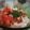 milmo1205's cooksnap of when they made 日韓合体！コチュジャン入り韓国風納豆ご飯.
