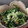 rakuen's cooksnap of when they made 春菊とほうれん草のおひたし.