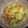 carino0305's cooksnap of when they made もやしときゅうりのごま酢和え.