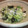 ＭｉｙａＣｏ's cooksnap of when they made きゅうりと小魚の酢の物*.