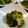 おぶうさま's cooksnap of when they made ブロッコリーの胡麻和え.
