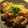 ママdeko's cooksnap of when they made 焼き豆腐のすき焼き風.