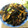 miyuki12's cooksnap of when they made ヘルシーひじきの煮物.