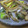 はとよめ's cooksnap of when they made エリンギと長ネギのバター炒め.