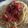 yukitty81's cooksnap of when they made トマトと大葉の冷製ツナパスタ.