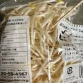のんべぇヒロ's cooksnap of when they made もやしの保存は　プチっとチルト室で！.