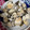 奈々♡♡'s cooksnap of when they made はまぐりの酒蒸し.