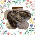 ダッフィーニーうに's cooksnap of when they made 茄子の保存方法.