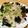 seacomet's cooksnap of when they made 5分であと一品！レンジで簡単！おかか大根.