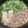 クックM6DK2O☆'s cooksnap of when they made 小松菜と豚バラの基本の鍋.