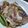 ★むさ's cooksnap of when they made 鯛のかぶと煮.