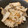 コハダちゃん's cooksnap of when they made 絶品！きのこが旨すぎる炊き込みごはん.