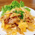 あっちゃんキッチン♪'s cooksnap of when they made 新玉ねぎと豚肉の甘辛卵炒め.