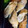 xyzクック's cooksnap of when they made 意外とヘルシー!!えのきの肉巻き.