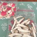 まこさんど's cooksnap of when they made 長持ち！しめじの冷凍保存方法.
