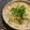 ちゃかぴまま's cooksnap of when they made 簡単♡やさし～い♡めかぶとしらすのおじや.