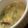 MULA's cooksnap of when they made 調味料ゼロ！フカヒレスープで中華風玉子丼.