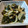 ばたみそーぱん☆'s cooksnap of when they made 簡単♪美味しい♪ワカメのマヨネーズ炒め.