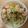 かおり♡♡♡'s cooksnap of when they made 時短♪和えるだけ♡エビマヨパスタ.