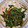 ねここfm's cooksnap of when they made ご飯がすすむ！簡単！我が家の壷ニラ.