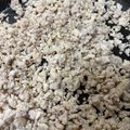 食べポジ's cooksnap of when they made 離乳食後期★超簡単な鶏そぼろ.