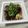 めぐ＊ぴぃ's cooksnap of when they made ☆もずく&納豆☆.