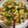 ♪おやつが好き♪'s cooksnap of when they made 長葱と長芋の炒め物.
