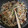 恭子's cooksnap of when they made 豆苗ともやしとちくわの炒め.