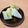 たかきび's cooksnap of when they made 簡単！レモン香る大根の漬物！.