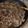 ぷるキラリ's cooksnap of when they made 吉野家系！だしが利いてる♪豚丼.