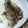 ♥おきるか♥'s cooksnap of when they made イワシの簡単かば焼き.