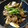 ばたみそーぱん☆'s cooksnap of when they made 簡単＊舞茸と長葱と豚肉のぽん酢炒め＊.