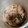 momo457's cooksnap of when they made 大根とスルメの煮物！.