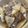 白いトラ's cooksnap of when they made 大根そぼろ煮.