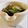 E吉☆'s cooksnap of when they made もずくの酢の物塩麹和え.