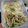 クック4COQHB☆'s cooksnap of when they made 摘み食いが止まらないナムル.