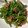 クック2H9MD0☆'s cooksnap of when they made 簡単☆本格的 青椒肉絲 チンジャオロース.