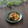 まろんかふぇ's cooksnap of when they made たけのことベーコンの粒マスタード炒め.