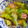 Kill Buss's cooksnap of when they made 冷凍あさりのむき身ｄｅ酒蒸し.