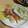 わかポン☆'s cooksnap of when they made カニカマと新玉葱の南蛮漬けサラダ＊.