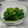 まさヒロ's cooksnap of when they made 【農家のレシピ】菜の花の浅漬け.