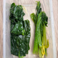 悠LOVE航's cooksnap of when they made ほうれん草、茎と葉と分けて保存.