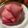 トコタン's cooksnap of when they made 赤かぶの甘酢漬け.