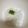 かわいい星優のママ's cooksnap of when they made 梨湖の超簡単！激速！とろろご飯！.