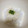 かわいい星優のママ's cooksnap of when they made 梨湖の超簡単！激速！とろろご飯！.