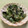 ビートルズ食堂's cooksnap of when they made 簡単♪我が家で人気！三つ葉と海苔のサラダ.