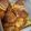 クックMYQM8M☆'s cooksnap of when they made 簡単！圧力鍋でトロトロ♪豚の角煮.