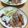 2児ママみきてぃ's cooksnap of when they made ランチにも夕飯にもトントロの檸檬炒め♪.