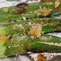 Ebi1783☆'s cooksnap of when they made オクラの醤油ガーリック♪トースター焼き.